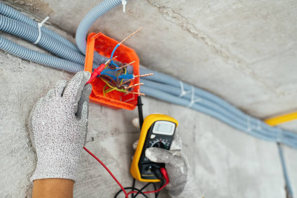Best Affordable Electrician  in Bellingham, WA